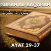 Hafiz Zia ur Rehman - Surah Al-Baqarah Ayat 29-37 سورة البقرة - Single